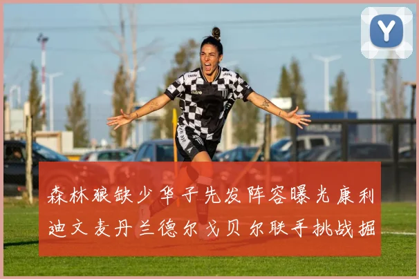 森林狼缺少华子先发阵容曝光康利迪文麦丹兰德尔戈贝尔联手挑战掘金